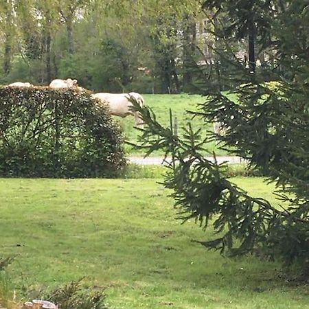Cottage De Charme A La Campagne Aulnoy Kültér fotó