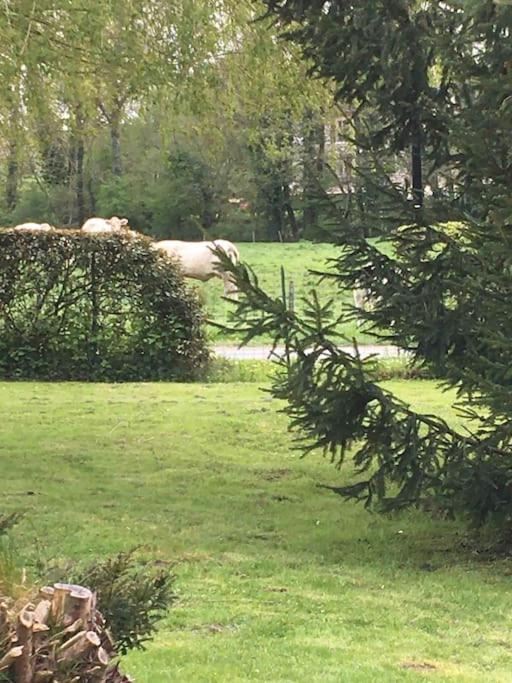 Cottage De Charme A La Campagne Aulnoy Kültér fotó