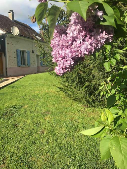 Cottage De Charme A La Campagne Aulnoy Kültér fotó